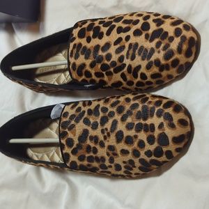 Birdies The Starling in Cheetah Calf Hair